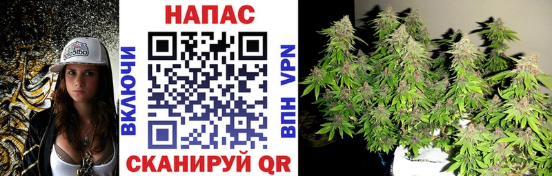 Шишки марихуана тримм  магазин продажи   kraken ССЫЛКА  Орехово-Зуево 